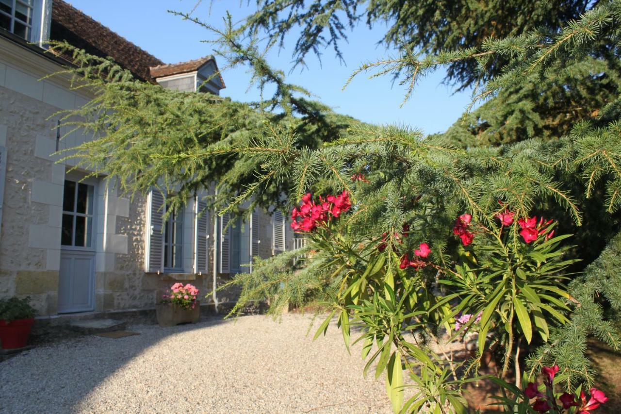 Bella Simonetta Bed & Breakfast Francueil Exterior photo